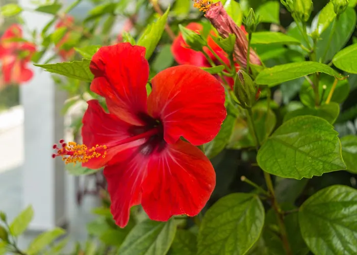 Holiday home Dionos With Jacuzzi *