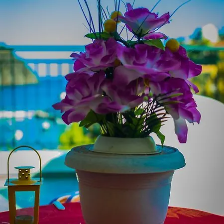 Dionos With Jacuzzi 阿索斯