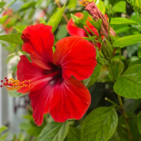 Holiday home Dionos With Jacuzzi *