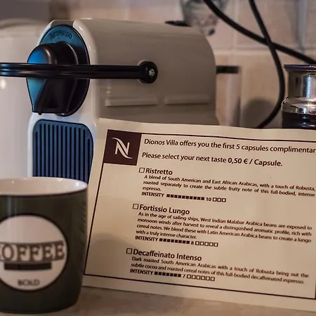 Dionos With Jacuzzi Holiday home